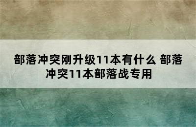 部落冲突刚升级11本有什么 部落冲突11本部落战专用